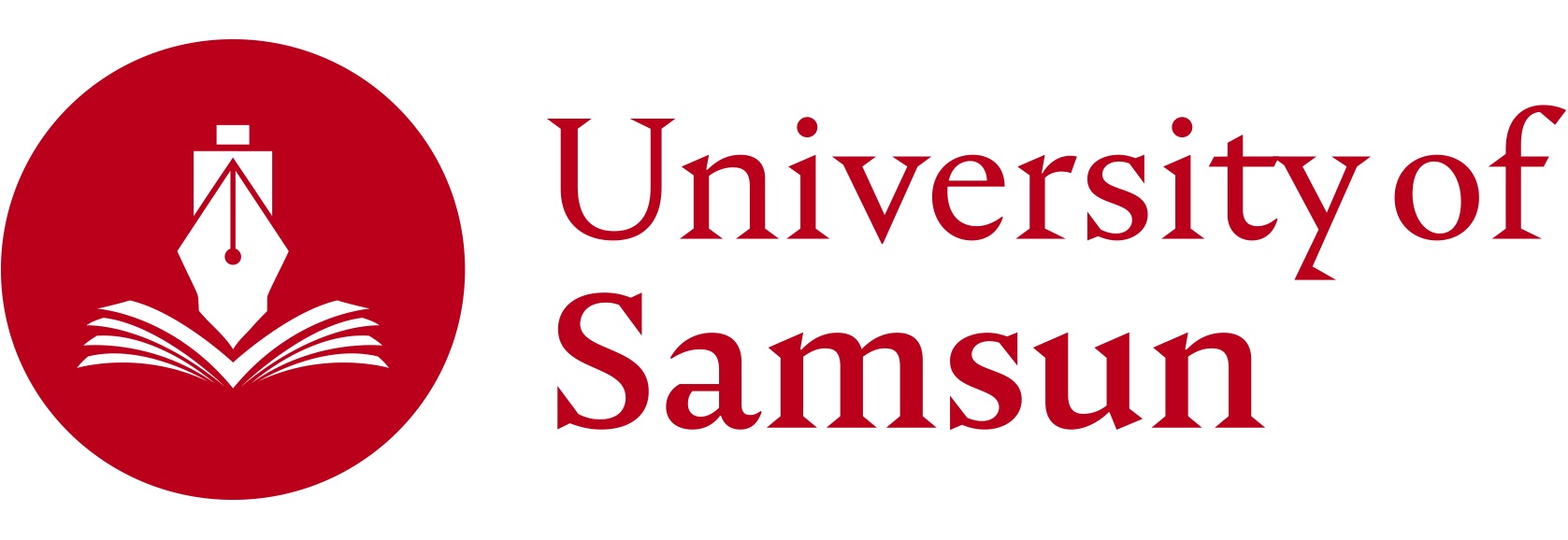 Samsun University